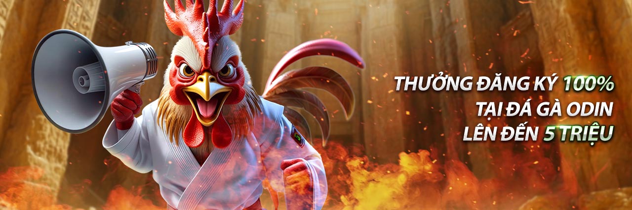 Cấp Độ Bạch Kim v7bet