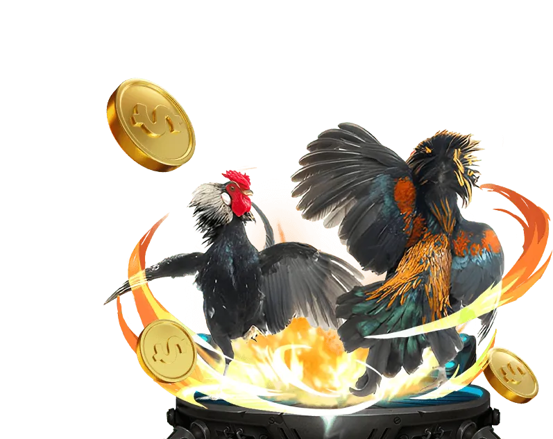 Cá cược đá gà trực tuyến FA88