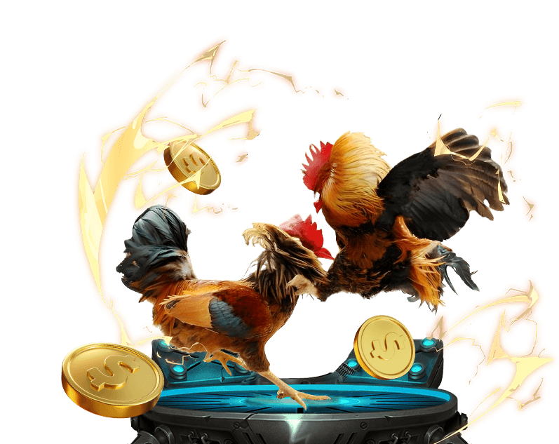 Đá gà cựa dao đầy kịch tính tại V7BET